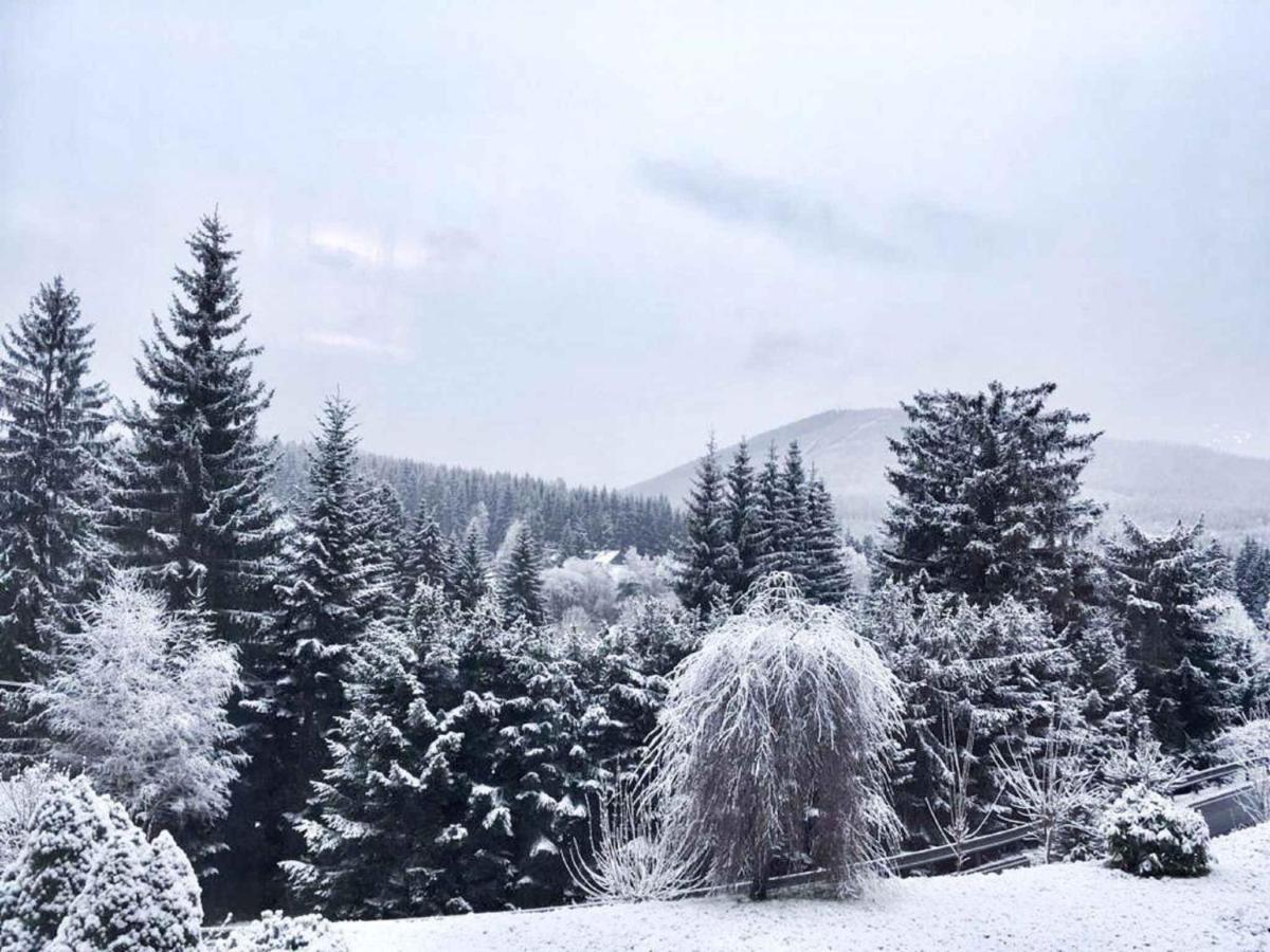 Apartments In Harrachov/Riesengebirge 2300 Εξωτερικό φωτογραφία